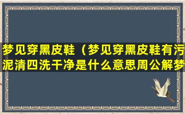 梦见穿黑皮鞋（梦见穿黑皮鞋有污泥清四洗干净是什么意思周公解梦）