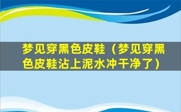 梦见穿黑色皮鞋（梦见穿黑色皮鞋沾上泥水冲干净了）