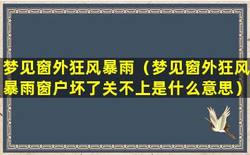 梦见窗外狂风暴雨（梦见窗外狂风暴雨窗户坏了关不上是什么意思）