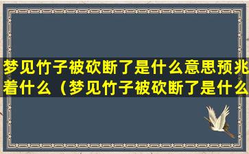 梦见竹子被砍断了是什么意思预兆着什么（梦见竹子被砍断了是什么意思预兆着什么呢）