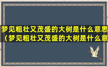 梦见粗壮又茂盛的大树是什么意思（梦见粗壮又茂盛的大树是什么意思周公解梦）