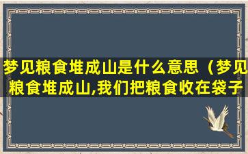 梦见粮食堆成山是什么意思（梦见粮食堆成山,我们把粮食收在袋子里）