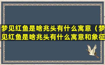 梦见红鱼是啥兆头有什么寓意（梦见红鱼是啥兆头有什么寓意和象征）