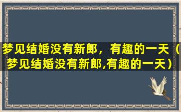 梦见结婚没有新郎，有趣的一天（梦见结婚没有新郎,有趣的一天）