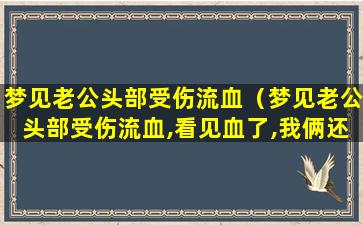 梦见老公头部受伤流血（梦见老公头部受伤流血,看见血了,我俩还去走客）