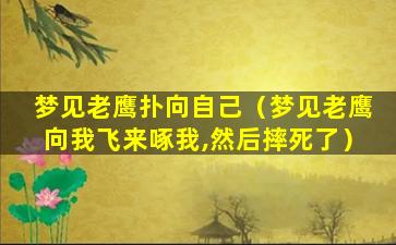 梦见老鹰扑向自己（梦见老鹰向我飞来啄我,然后摔死了）