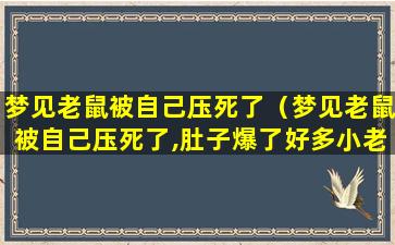 梦见老鼠被自己压死了（梦见老鼠被自己压死了,肚子爆了好多小老鼠出来）