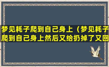 梦见耗子爬到自己身上（梦见耗子爬到自己身上然后又给扔掉了又回来了）