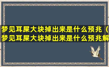 梦见耳屎大块掉出来是什么预兆（梦见耳屎大块掉出来是什么预兆解梦）