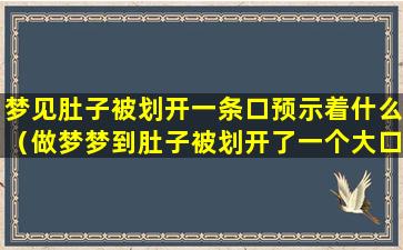 梦见肚子被划开一条口预示着什么（做梦梦到肚子被划开了一个大口子）