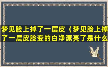 梦见脸上掉了一层皮（梦见脸上掉了一层皮脸变的白净漂亮了是什么意思）