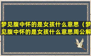 梦见腹中怀的是女孩什么意思（梦见腹中怀的是女孩什么意思周公解梦）