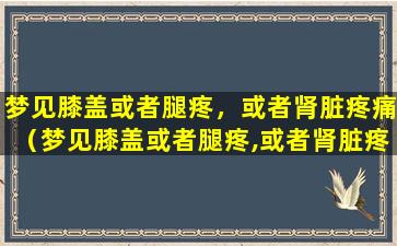 梦见膝盖或者腿疼，或者肾脏疼痛（梦见膝盖或者腿疼,或者肾脏疼痛）