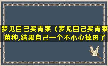 梦见自己买青菜（梦见自己买青菜苗种,结果自己一个不小心掉进了太空层）