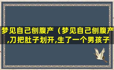 梦见自己刨腹产（梦见自己刨腹产,刀把肚子划开,生了一个男孩子）