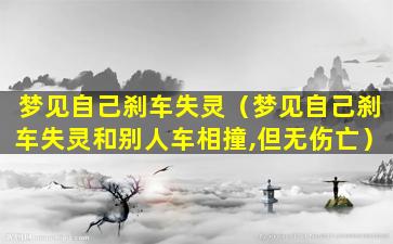 梦见自己刹车失灵（梦见自己刹车失灵和别人车相撞,但无伤亡）