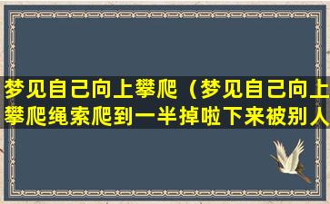 梦见自己向上攀爬（梦见自己向上攀爬绳索爬到一半掉啦下来被别人救啦）