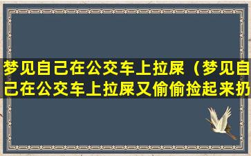 梦见自己在公交车上拉屎（梦见自己在公交车上拉屎又偷偷捡起来扔掉）