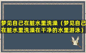 梦见自己在脏水里洗澡（梦见自己在脏水里洗澡在干净的水里游泳）