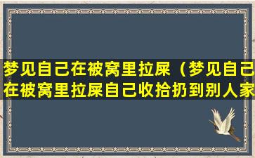 梦见自己在被窝里拉屎（梦见自己在被窝里拉屎自己收拾扔到别人家院里）