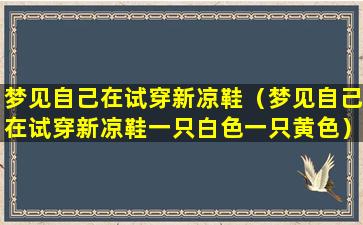 梦见自己在试穿新凉鞋（梦见自己在试穿新凉鞋一只白色一只黄色）