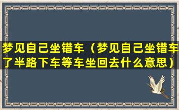 梦见自己坐错车（梦见自己坐错车了半路下车等车坐回去什么意思）