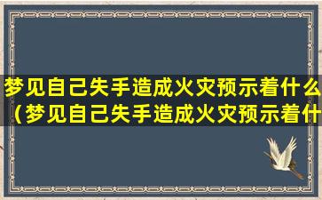 梦见自己失手造成火灾预示着什么（梦见自己失手造成火灾预示着什么预兆）