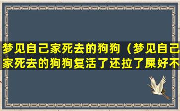 梦见自己家死去的狗狗（梦见自己家死去的狗狗复活了还拉了屎好不好）