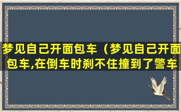 梦见自己开面包车（梦见自己开面包车,在倒车时刹不住撞到了警车上）