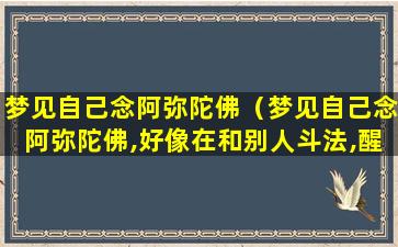 梦见自己念阿弥陀佛（梦见自己念阿弥陀佛,好像在和别人斗法,醒来自己很害怕）