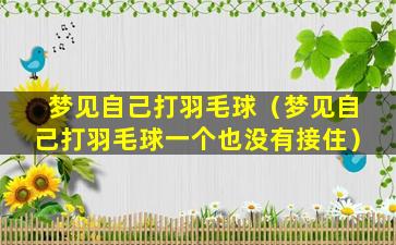 梦见自己打羽毛球（梦见自己打羽毛球一个也没有接住）