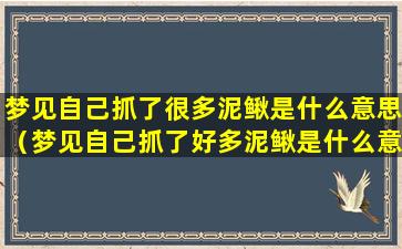 梦见自己抓了很多泥鳅是什么意思（梦见自己抓了好多泥鳅是什么意思）