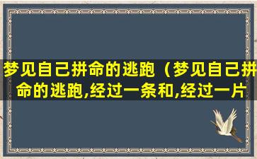 梦见自己拼命的逃跑（梦见自己拼命的逃跑,经过一条和,经过一片树林）