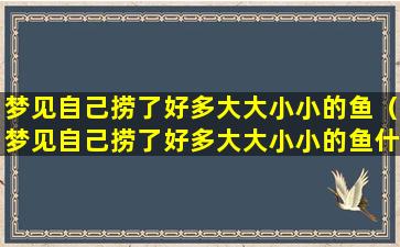 梦见自己捞了好多大大小小的鱼（梦见自己捞了好多大大小小的鱼什么意思）