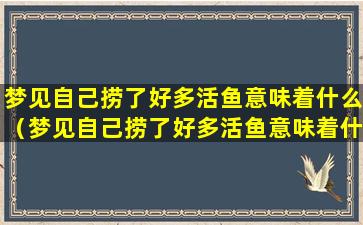 梦见自己捞了好多活鱼意味着什么（梦见自己捞了好多活鱼意味着什么预兆）