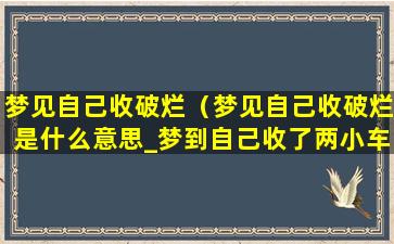 梦见自己收破烂（梦见自己收破烂是什么意思_梦到自己收了两小车破铁）