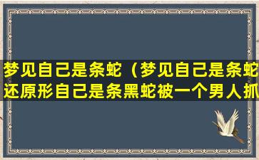 梦见自己是条蛇（梦见自己是条蛇还原形自己是条黑蛇被一个男人抓了）