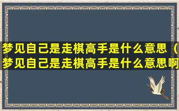 梦见自己是走棋高手是什么意思（梦见自己是走棋高手是什么意思啊）