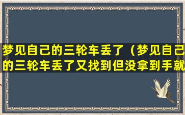 梦见自己的三轮车丢了（梦见自己的三轮车丢了又找到但没拿到手就醒了）