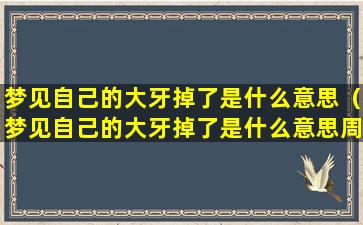 梦见自己的大牙掉了是什么意思（梦见自己的大牙掉了是什么意思周公解梦）