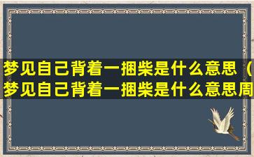 梦见自己背着一捆柴是什么意思（梦见自己背着一捆柴是什么意思周公解梦）