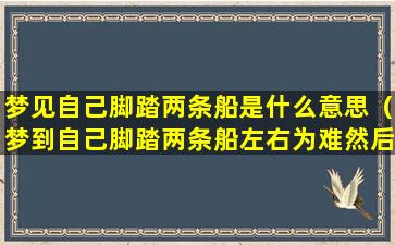 梦见自己脚踏两条船是什么意思（梦到自己脚踏两条船左右为难然后吓醒了）