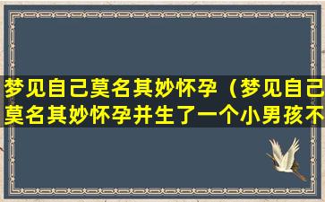 梦见自己莫名其妙怀孕（梦见自己莫名其妙怀孕并生了一个小男孩不敢相信）