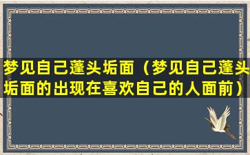 梦见自己蓬头垢面（梦见自己蓬头垢面的出现在喜欢自己的人面前）