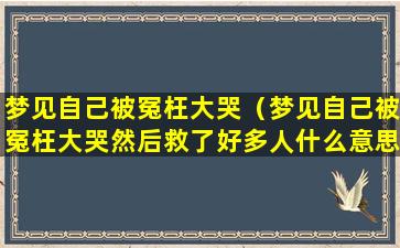 梦见自己被冤枉大哭（梦见自己被冤枉大哭然后救了好多人什么意思）