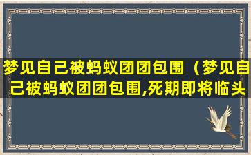 梦见自己被蚂蚁团团包围（梦见自己被蚂蚁团团包围,死期即将临头）