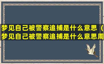 梦见自己被警察追捕是什么意思（梦见自己被警察追捕是什么意思周公解梦）