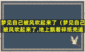 梦见自己被风吹起来了（梦见自己被风吹起来了,地上飘着碎纸壳追我）