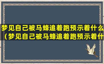 梦见自己被马蜂追着跑预示着什么（梦见自己被马蜂追着跑预示着什么意思）