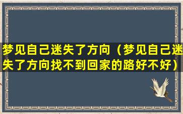 梦见自己迷失了方向（梦见自己迷失了方向找不到回家的路好不好）